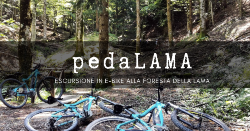 PedaLAMA d’estate